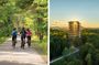 Bike Rentals Treetop Walk Package