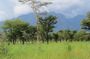 4 Days Sipi Falls and Pian-Upe national Park
