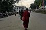 Morning Monk
