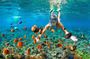 Phuket to Coral Island: Full-Day Beach & Snorkeling Tour