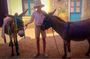 Durrells story half day