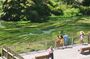 Private Tour WaiOtapu & Huka Falls & Blue springs from Auckland