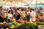 Farmer's Market Pasta And Tiramisu Masterclass with Italian Wine