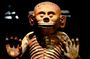 Special Pre-Hispanic Day of the Dead Tour