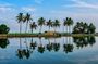Cochin: 5-Day Kerala Tour with Houseboat and Wildlife