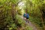 Hiking Trekking & Temple Stay 12days 11nights