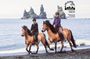 Black Sand Beach Horse Riding Tour from Vik