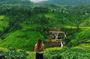 Sri Lanka Tour Packages with English Speaking Driver Guide and Car