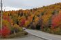 Cabot Trail; Shore Excursion; Sydney Port Cape Breton Island