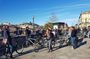Half-Day Guided Tour - Mysteries of the Sea by Bike