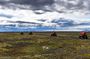1 Hour ATV Quad Biking Adventure in the Skaftafell Area