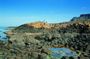 Giant's Causeway Tour with Game of Thrones Sites from Belfast