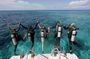 Scuba Diving in Antalya from Antalya & Kemer