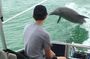 Shell Key & Dolphins - Semi-Private Tours