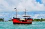 Miami Pirate Boat Tour: Skyline & Celebrity Homes