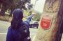 San Francisco Presidio Walking Tour