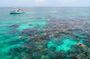 Key Largo Snorkeling Tour with Mask plus Fins and Vest Included