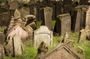 Pragues Famous Ghosts and Dark History Self Guided Walking Tour