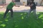 App-Led Zombie Survival Scavenger Hunt in Sandusky, OH