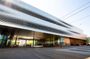 Explore Basel’s Art and Culture with a Local