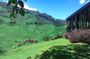 Cameron Highlands 3 Days 2 Night Tours Private (per Vehicle)
