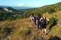 A walk on Monte Pisano