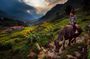 2D1N Buffalo trek by Hmong Sister House and Trekking