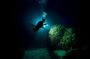 Night dive at Tugboat Beach in Curacao