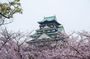 Osaka Castle & Samurai Tour: Entry Included Option