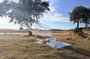 Comporta Slow Luxury Picnic Proposal Experience