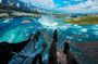 Niagara Falls Small-Group Tour with Niagara Takes Flight
