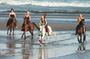 Horse Riding 30 minutes At Black Sand Beach and Ubud Tour