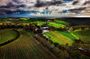 Private Tour of Rojina's Fleurieu in McLaren Vale