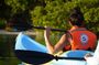 Tour the Mangroves in Kayak by Isla Holbox