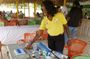 Artistic Journey through Barbados