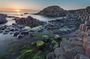 Giants Causeway, Rope Bridge, Carrickfergus Castle and Dark Hedges Tour