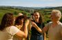 From Florence: Tuscany Wine & Oil Tour with typical Tuscan Meal