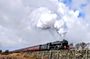 Steam Trains, Whitby, and the North York Moors Full-Day Tour from York