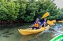 Bio Bay Night Kayaking with Transport from San Juan Area
