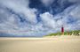 Texel Day Tour with Guide