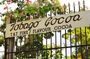 Cocoa Estate and Argyle Waterfall Tour in Tobago