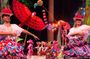 2-Day Combos Offers: Xcaret, Xel-Há, Xplor & Chichén Itzá