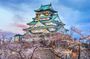 Osaka Castle Guided Tour: Interior, Museum & Gardens