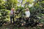 Coffee Farm Shared Tour from Salento