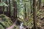 E-Bike Tour to a Fairy Glen and Hidden Waterfalls