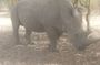 Safari Game Park