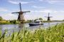 Delft and Windmills Small Group Tour from Rotterdam Cruise Port