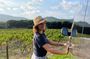 Shared Tour - Wine tour from Saint Tropez