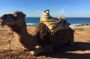 Tour of Tangier 1-2 people with camel ride