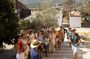 Málaga Small‑Group Wine Tour – Álora Castle Views & 4 Tastings
